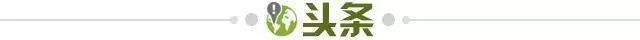 注册入口-【早报】马铃薯之王！维尔茨变身国家队真大腿！